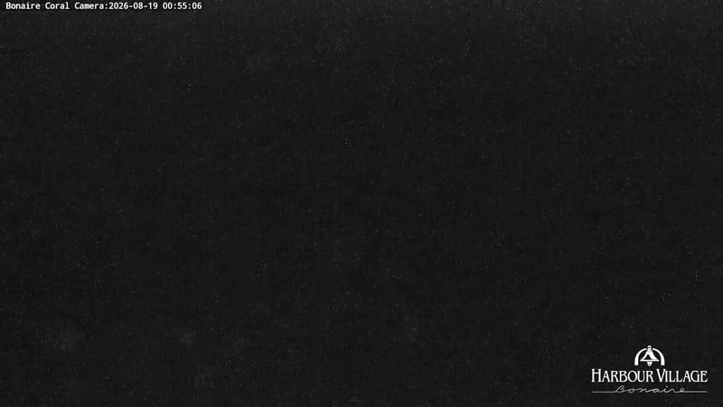 Live camera view of Bonaire: Coral Reef