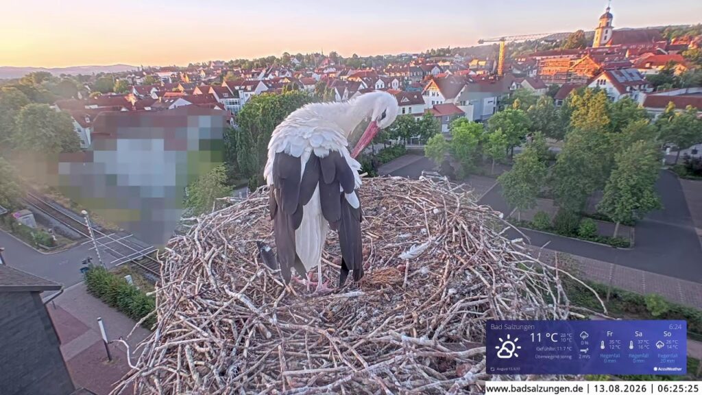 Gradierwerk Stork Nest Live Cam