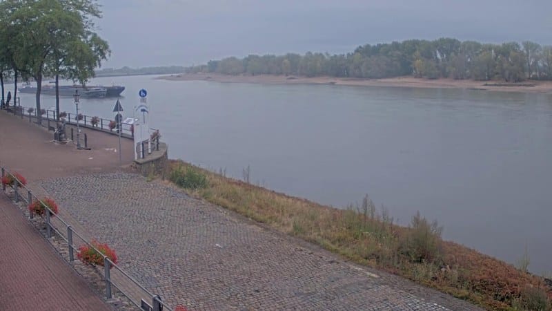 Live camera view of Rees: Rhein River