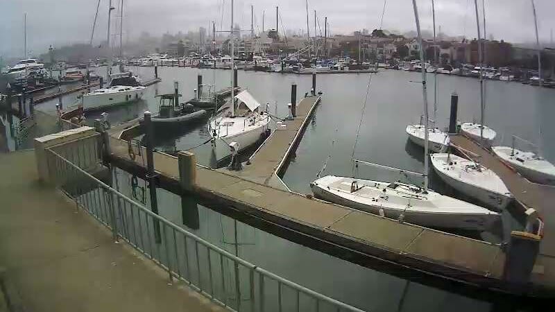 Live camera view of San Francisco Bay Sailing